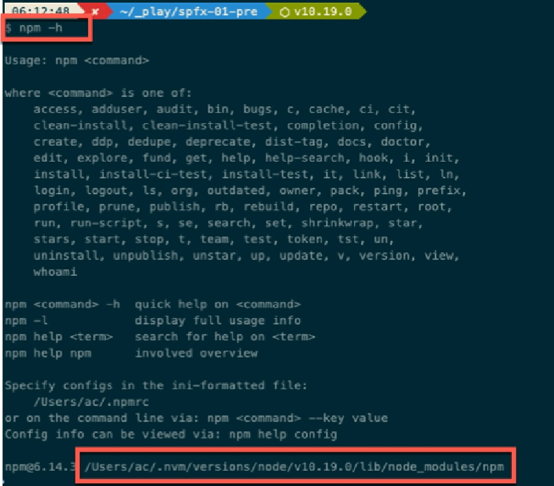 Output from running **npm -h** on MacOS with an NVM-managed Node.js v10.19.0 installation Output from running **npm -h** on MacOS with an NVM-managed Node.js v10.19.0 installation
