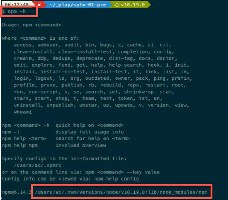 Output from running **npm -h** on MacOS with an NVM-managed Node.js v10.19.0 installation Output from running **npm -h** on MacOS with an NVM-managed Node.js v10.19.0 installation