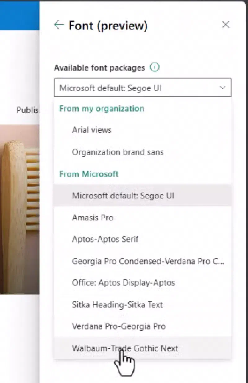 SharePoint setting Font panel SharePoint setting Font panel