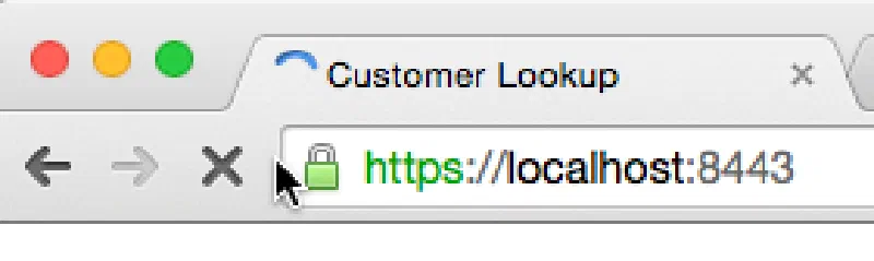 Chrome & Trusted Certificate View Chrome & Trusted Certificate View