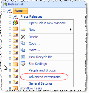 Figure 10 – Press Releases Advanced Permissions