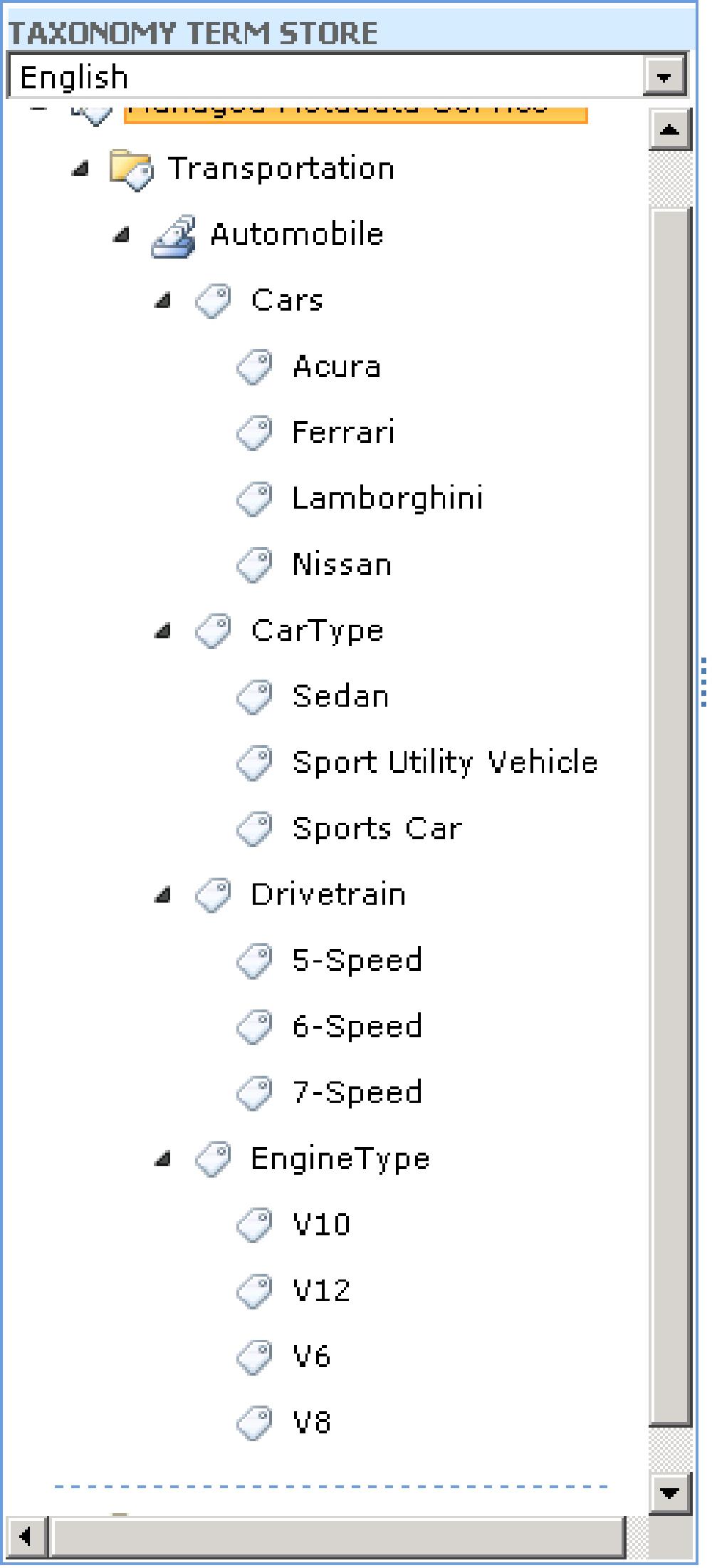 Taxonomy in the term store Taxonomy in the term store